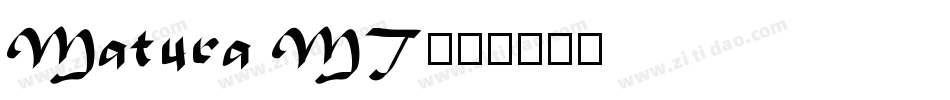 Matura MT字体转换